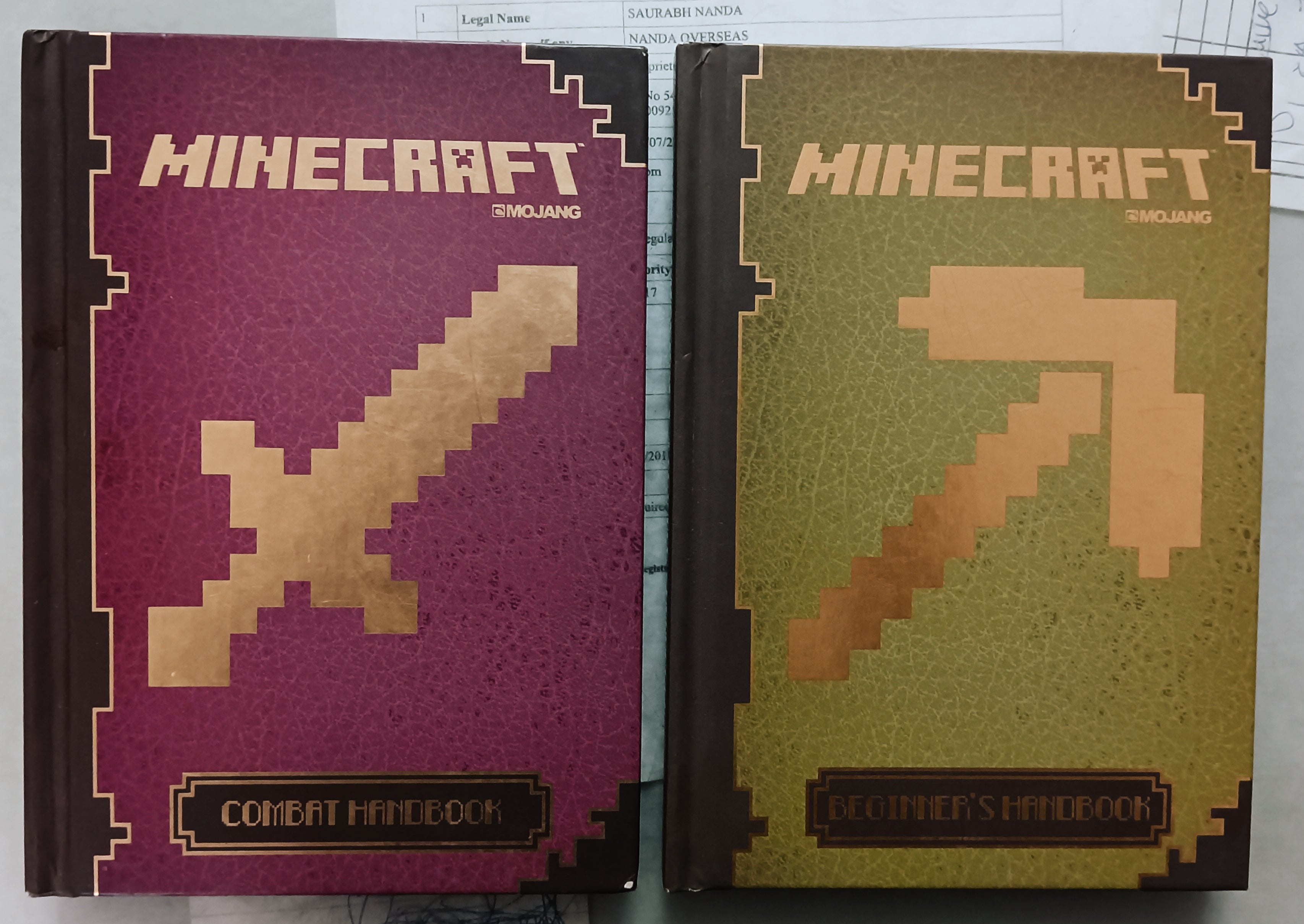 Minecraft | Combat Handbook &amp; Beginners Handbook | Condition: New