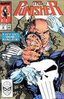The Punisher, Vol. 2 Face Off |  Issue