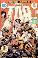 Tor, Vol. 1 The Beating |  Issue