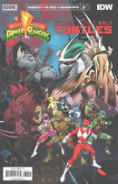 Mighty Morphin Power Rangers / Teenage Mutant Ninja Turtles, Vol. 1  |  Issue