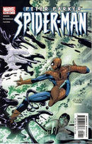 Peter Parker: Spider-Man The Big Answer |  Issue