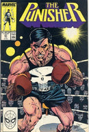 The Punisher, Vol. 2 The Boxer |  Issue