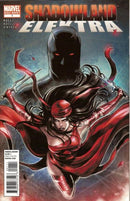 Shadowland: Elektra Shadowland  |  Issue