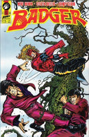 Badger, Vol. 1 The Wotan Seed |  Issue