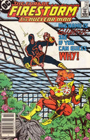 Firestorm, the Nuclear Man, Vol. 2 (1982-1990) The End of His Rope |  Issue