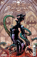 Knight Terrors: Catwoman Knight Terrors - Part 1 of 2 |  Issue
