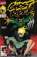 Ghost Rider, Vol. 2 Obsession |  Issue