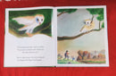 Fly, chick, fly! | Story Book with Big Pictures and Little Text | For 3-5 Years Old | Hardcover | SKU: 2405_101_A108
