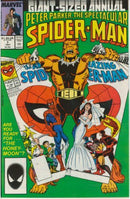 The Spectacular Spider-Man Annual The Honeymoon |  Issue