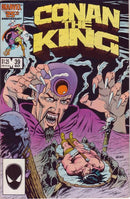 King Conan / Conan the King The Tower |  Issue