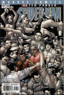 Peter Parker: Spider-Man Maybe Next Year |  Issue