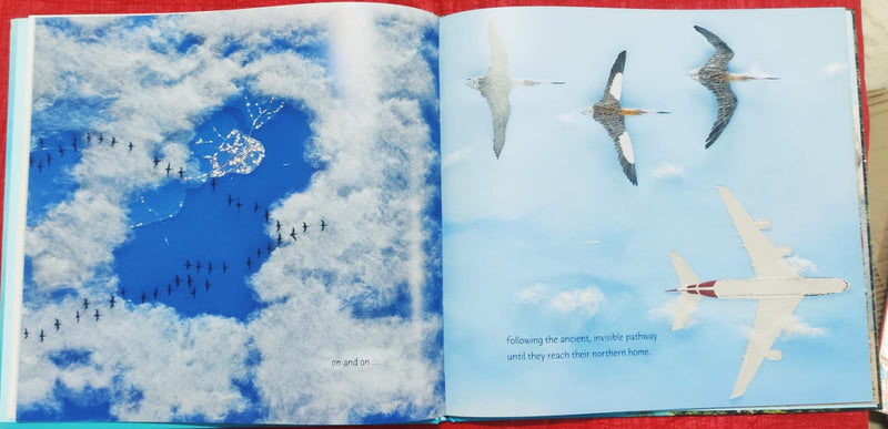 Circle | Story Book | For 6-8 Years Old | Hardcover | SKU: 2405_101_A103