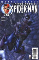 Peter Parker: Spider-Man Snow Day |  Issue