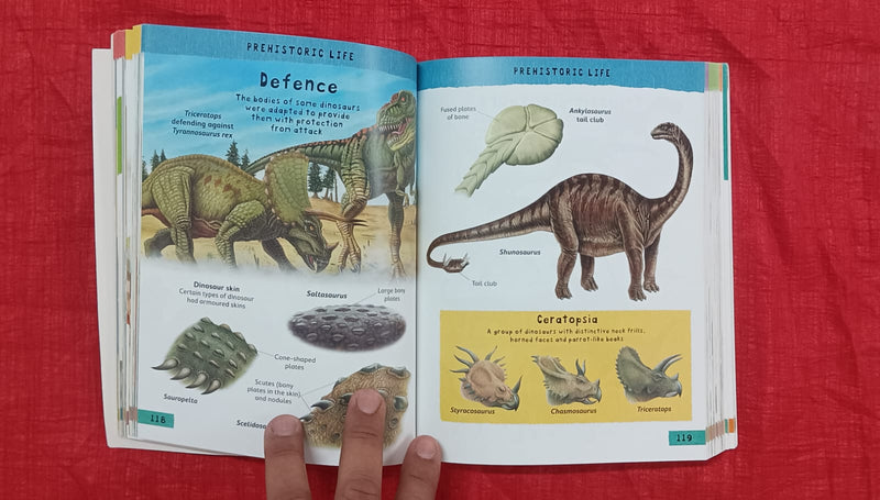 Junior picture dictionary | Educational Thick Book | For 9-12 Years Old | Paperback | SKU: SKU: 2405_101_A101