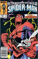 The Spectacular Spider-Man, Vol. 1 No Fury |  Issue