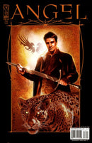 Angel: After the Fall Angel, Angel |  Issue
