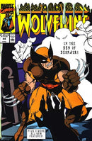 Marvel Comics Presents, Vol. 1 Black Shadow! White Shadow!; Stardust Miseries, Part 7: Blood Craze / Part 7: Wipeout / Trashed / ...and Not a Drop to Drink |  Issue