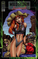Wildstorm Swimsuit Special  |  Issue