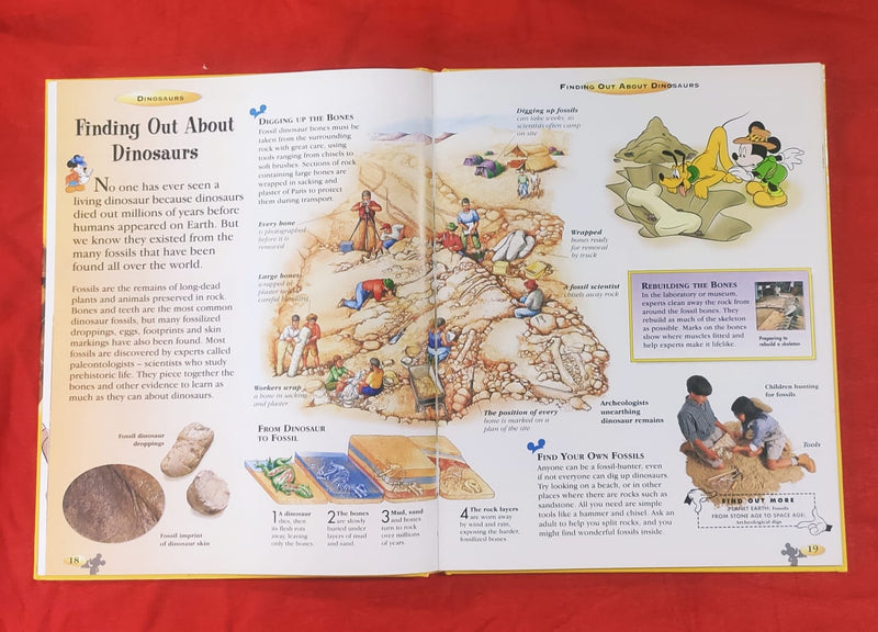 The wonderful world of knowledge | Educational Non Fiction Book | For 6-8 Years Old | Hardcover | SKU: 2405_101_A109