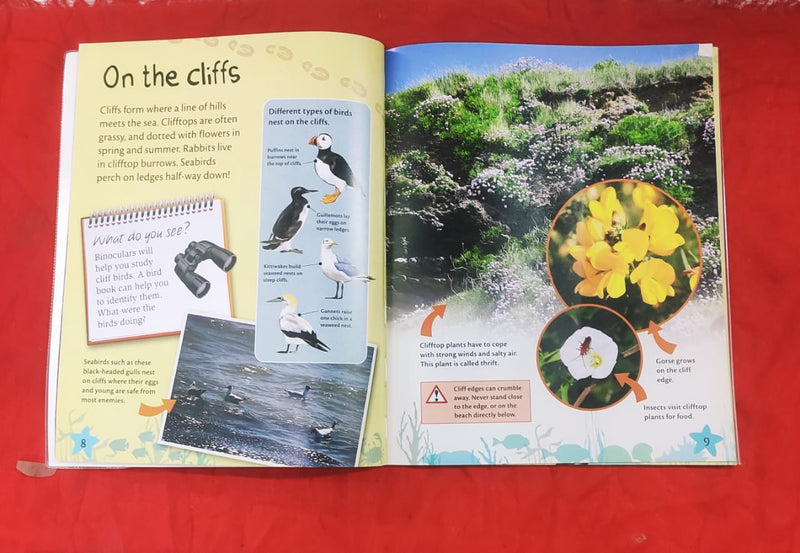 Seaside | Educational Non Fiction Book | For 9-12 Years Old | Paperback | SKU: 2405_101_A108