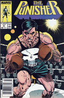 The Punisher, Vol. 2 The Boxer |  Issue