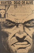 The Punisher, Vol. 2 The Final Days |  Issue