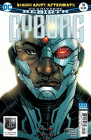 Cyborg, Vol. 2 Singularity Aftermath, The End |  Issue