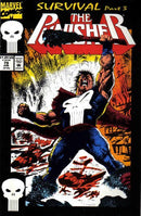 The Punisher, Vol. 2 Survival, Part 3 |  Issue