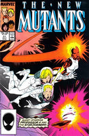 New Mutants, Vol. 1 Teacher's Choice |  Issue