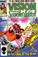 Vision and the Scarlet Witch, Vol. 2 The Other's Call It All Hallow's Eve |  Issue