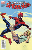 The Amazing Spider-Man, Vol. 2 You Want Pants With That? |  Issue