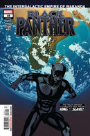 Black Panther, Vol. 7 The Intergalactic Empire Of Wakanda, Two Thousand Seasons |  Issue