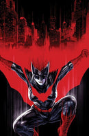 Batwoman, Vol. 2 HC / TP The Fall of the House of Kane |  Issue