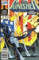 The Punisher, Vol. 2 Flag Burner |  Issue