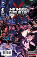 Infinite Crisis: Fight For The Multiverse  |  Issue