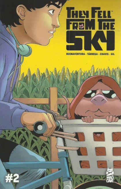 They Fell From The Sky  |  Issue