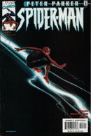 Peter Parker: Spider-Man Getting Ahead |  Issue