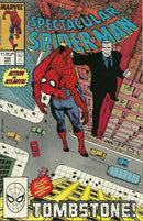 The Spectacular Spider-Man, Vol. 1 Will |  Issue