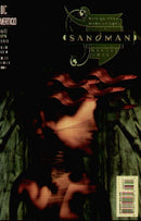 The Sandman, Vol. 2 The Kindly Ones |  Issue