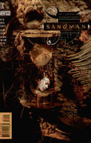 The Sandman, Vol. 2 The Kindly Ones, Part 8 |  Issue