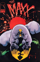 The Maxx  |  Issue