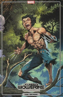 X Lives of Wolverine  |  Issue