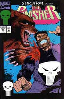 The Punisher, Vol. 2 Survival, Part 1 |  Issue
