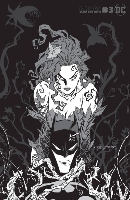Batman: Black & White, Vol. 3 The Cavalry / A Kingdom of Thorns / I Am The Bat / An Unquiet Knight / Legacy |  Issue