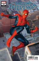 The Amazing Spider-Man, Vol. 5 Family Matters |  Issue