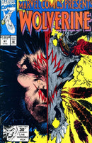 Marvel Comics Presents, Vol. 1 Wild Frontier, Part 5: Blind Fury |  Issue