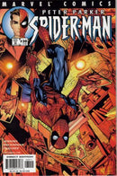 Peter Parker: Spider-Man Three Hundred |  Issue