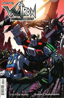 Voltron: From The Ashes  |  Issue