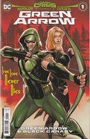 Dark Crisis: Worlds Without A Justice League - Green Arrow Dark Crisis - Green Arrow / Till Death Do Us Part |  Issue