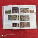 Collector's Edition Guide Assassins Creed Odyssey | Condition: Good